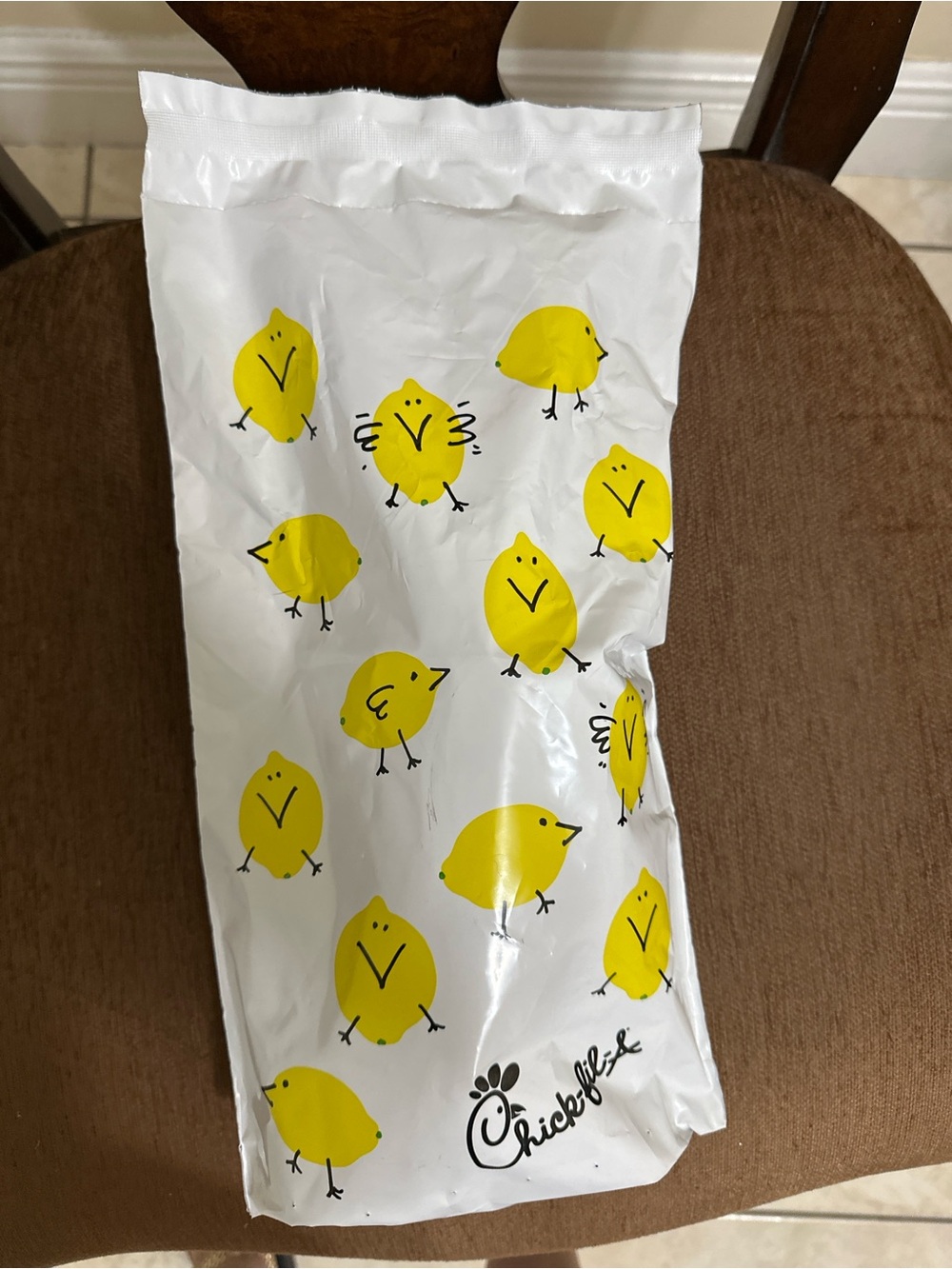 Yellow Chick Pattern Bird Treat Bag